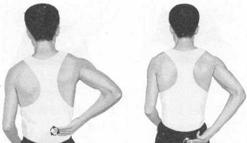 遗精按摩部位图解