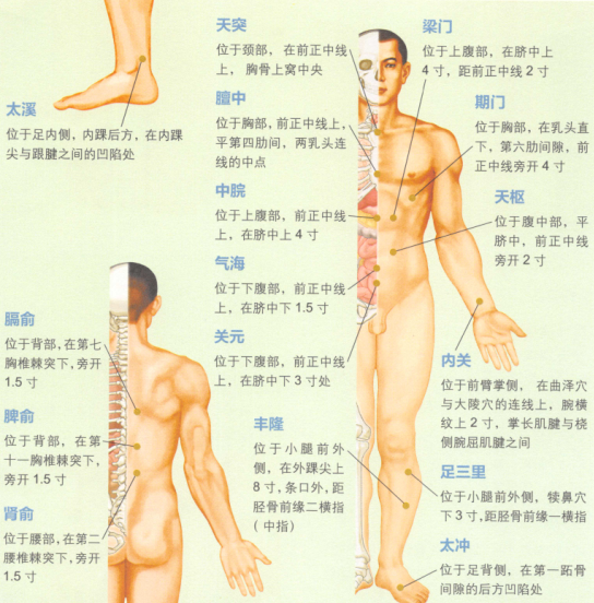 呃逆艾灸哪个部位图解