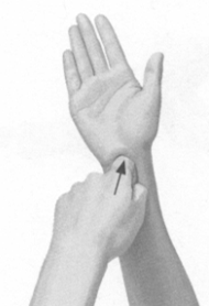 失眠症按摩部位图解