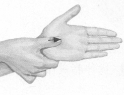 肩周炎按摩部位图解