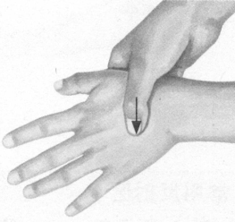 风湿病按摩部位图解