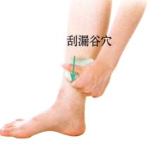 皮肤瘙痒症刮痧部位图解