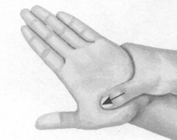 肥胖症按摩部位图解