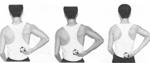 腹泻按摩部位图解