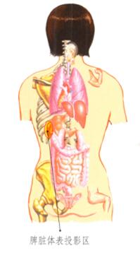 面颊痤疮刮痧部位图解