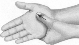 高脂血症按摩部位图解