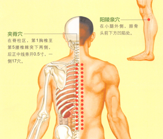 强直性脊柱炎艾灸哪个部位图解