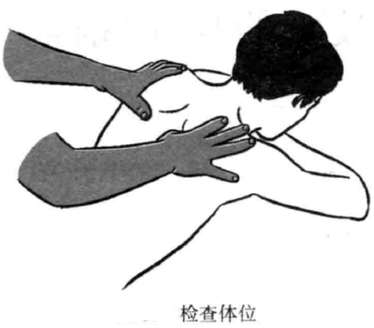 梅花针施术前检查的体位、顺序和定位