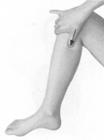 失眠症按摩部位图解