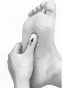 耳鸣-耳聋按摩部位图解