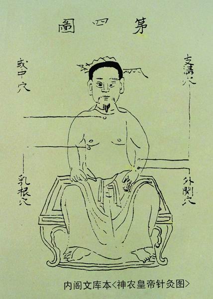 《神农皇帝针经图》分部穴图