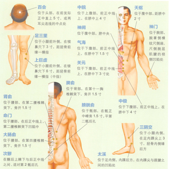 小儿遗尿艾灸哪个部位图解