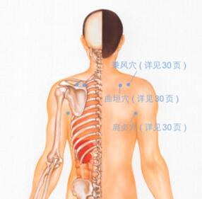 肩周炎按摩部位图解