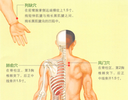 咳嗽艾灸哪个部位图解
