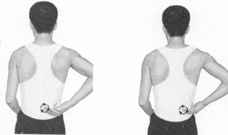 遗精按摩部位图解