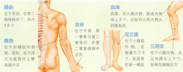 痤疮艾灸哪个部位图解
