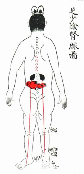 《产经》十脉图