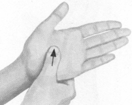 更年期综合征按摩部位图解