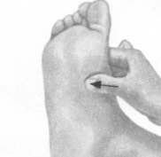 高脂血症按摩部位图解