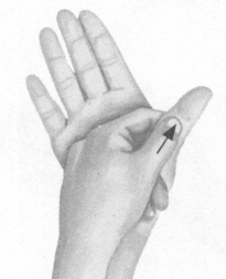 肥胖症按摩部位图解