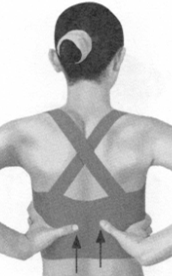 鼻炎按摩部位图解