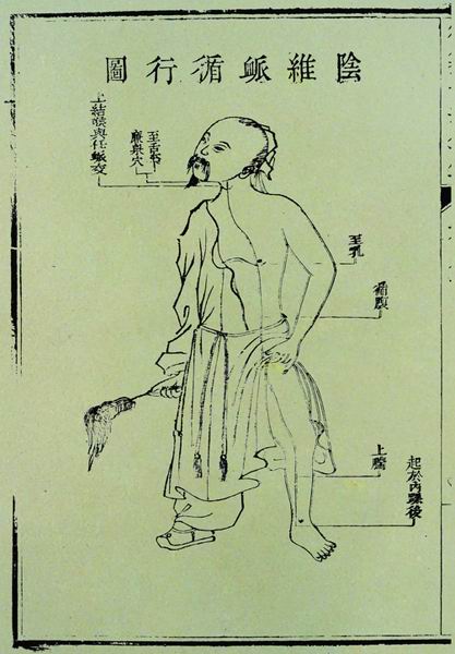 《医宗金鉴》奇经八脉图