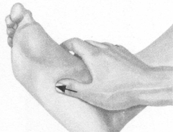 前列腺疾病按摩部位图解