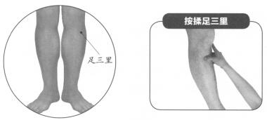 不育症按摩部位图解