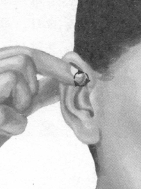 鼻炎按摩部位图解