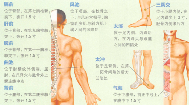 斑秃艾灸哪个部位图解