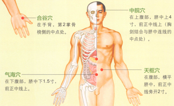 痢疾艾灸哪个部位图解