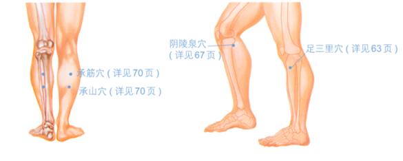 小腿抽筋按摩部位图解