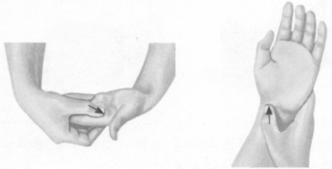 阳痿按摩部位图解