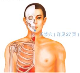 口臭按摩部位图解