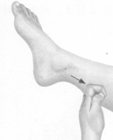 痛经按摩部位图解