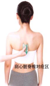 高脂血症刮痧部位图解