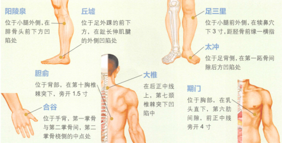 慢性阑尾炎艾灸哪个部位图解