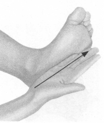 便秘按摩部位图解