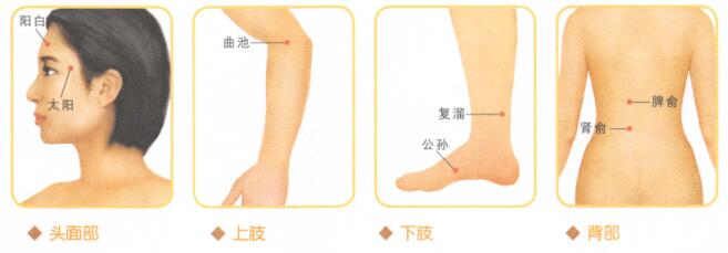 眼睑浮肿按摩部位图解