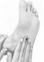 冠心病按摩部位图解