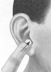 高脂血症按摩部位图解