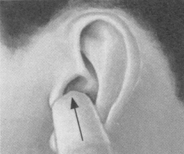 遗精按摩部位图解