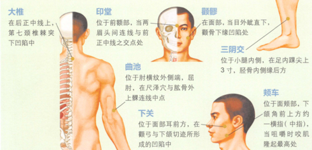 雀斑艾灸哪个部位图解