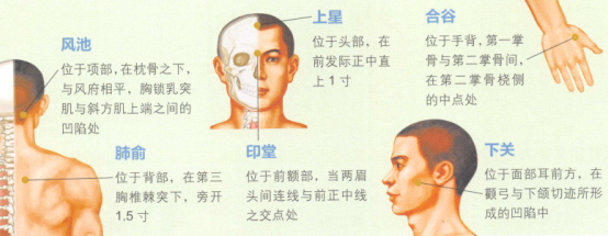 鼻窦炎艾灸哪个部位图解