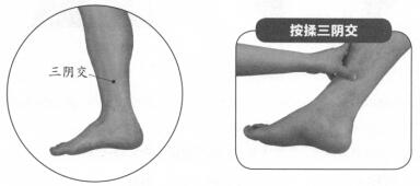 慢性前列腺炎按摩部位图解