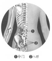 产后腰腹痛按摩部位图解