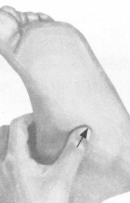 肩周炎按摩部位图解