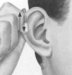 耳鸣-耳痛按摩部位图解