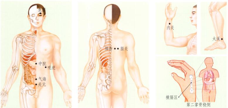 呃逆刮痧部位图解