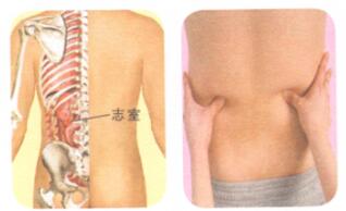 不育症按摩部位图解